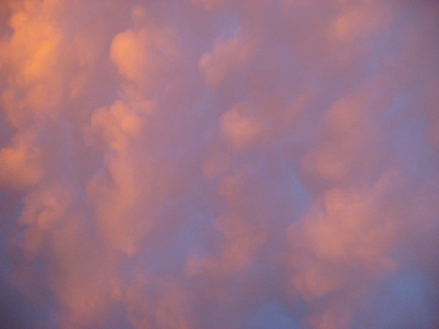 Puffballs Deluxe: image 1257 © Catherine Rutgers