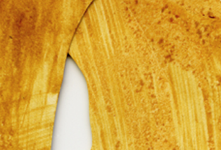 Glue Detail Screen Grab © Catherine Rutgers 2010