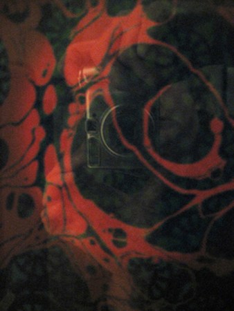 Image 0755 Unexpected Self Portrait © Catherine Rutgers 2011