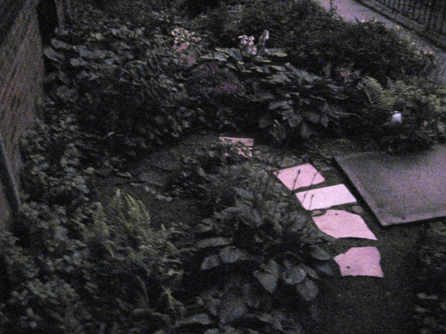 Image 1268 Garden Night © Catherine Rutgers 2011