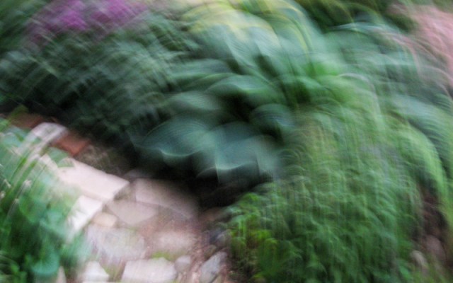 Image 1014 My Garden Walk © Catherine Rutgers