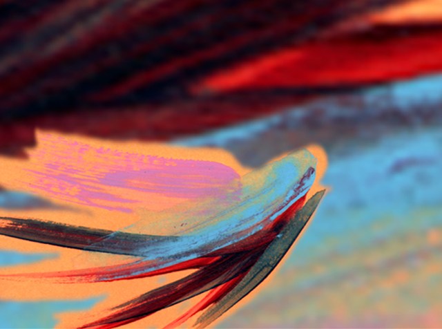 Fish in Flight © Catherine Rutgers 