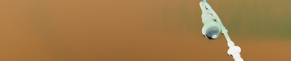 Other Ways of Looking at the Same Thing © Catherine Rutgers