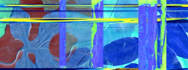 Ailanthus Merge © Catherine Rutgers