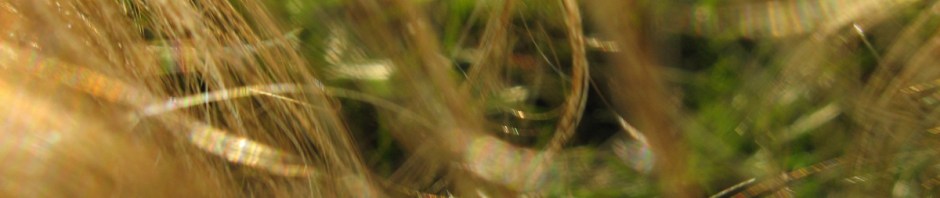 Photo 2373 © Catherine Rutgers