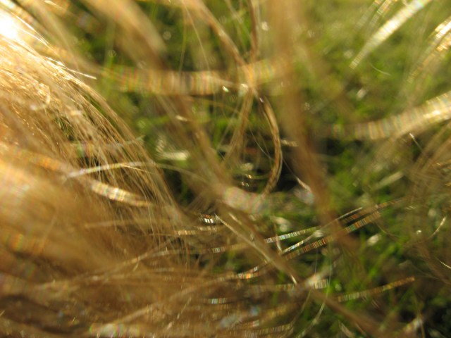 Photo 2373 © Catherine Rutgers