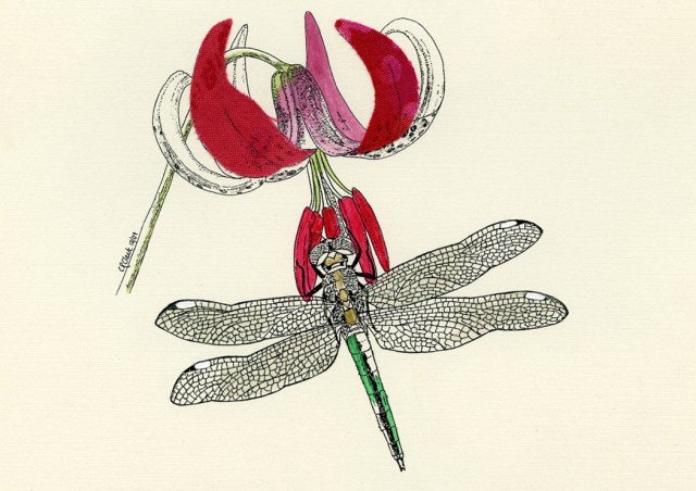 Lily and Dragonfly 2009 © Carolyn Rutgers Clark