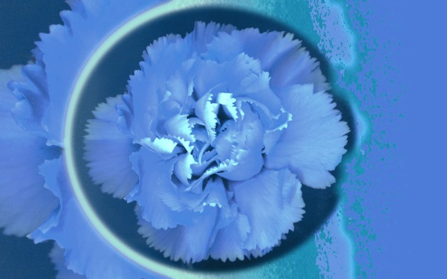 Sea of Joy © Catherine Rutgers