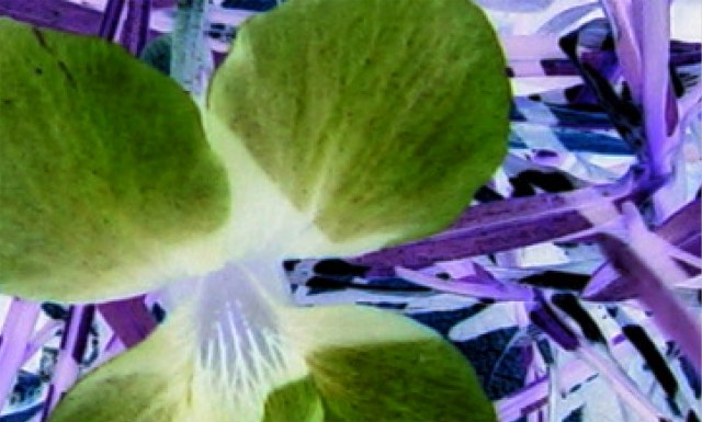 Don't Be Jealous © Catherine Rutgers 2012