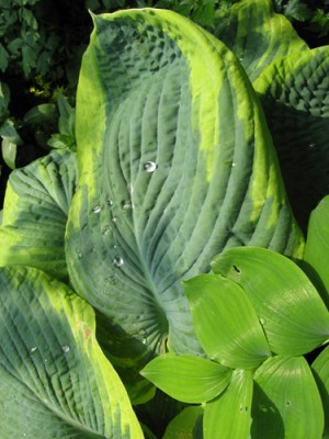 And So It Begins © Catherine Rutgers