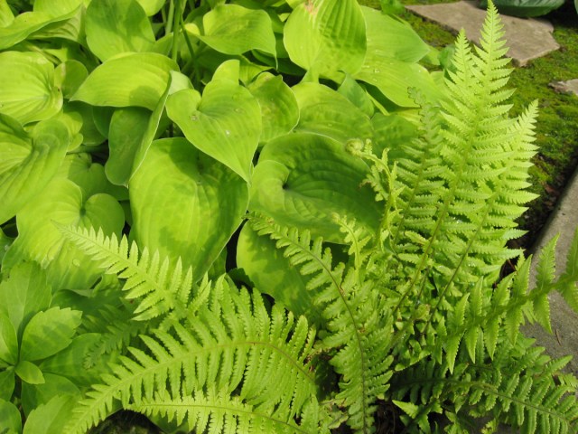 Beyond Numbers © Catherine Rutgers