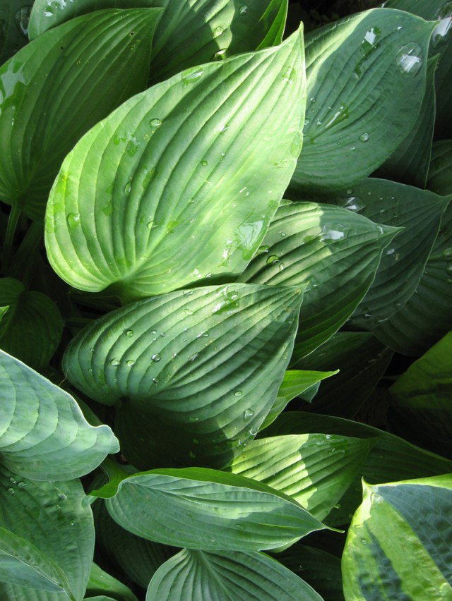 Beyond Logic © Catherine Rutgers