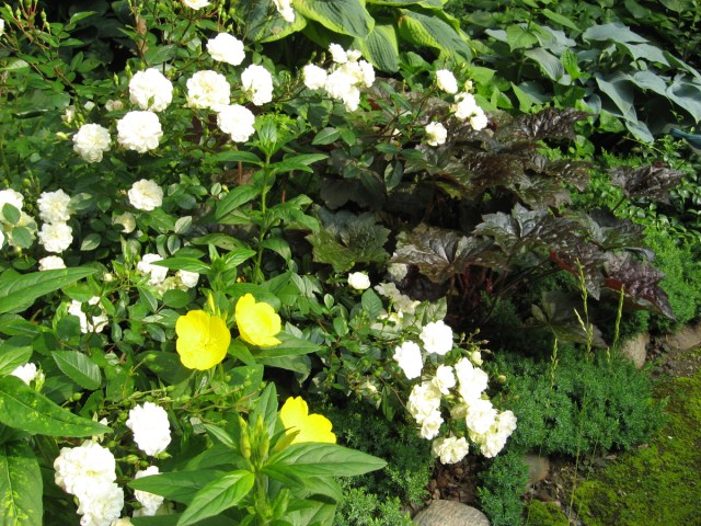 They Have Such Personality © Catherine Rutgers