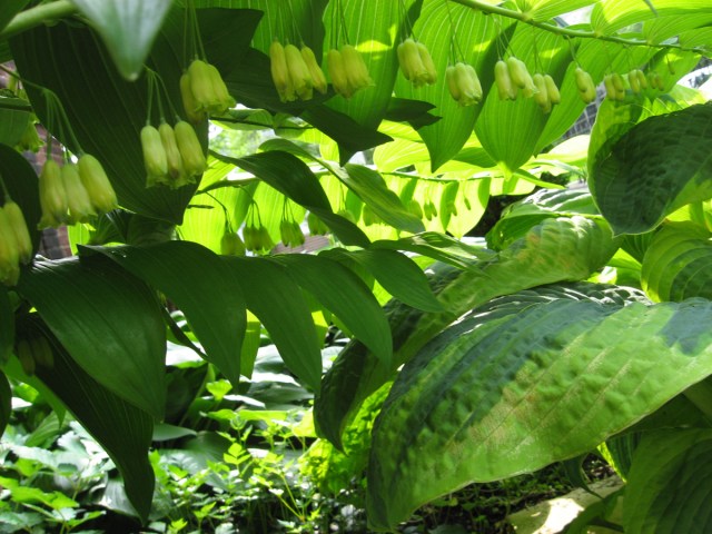 That I Could Be © Catherine Rutgers