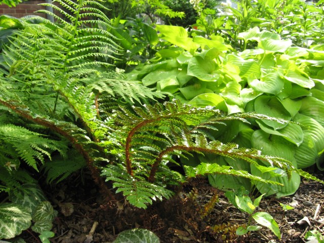 So Impossibly Beyond © Catherine Rutgers