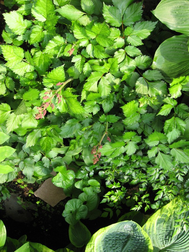 So Lucky As to Be © Catherine Rutgers