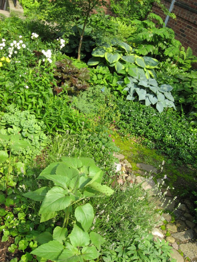 Building This © Catherine Rutgers