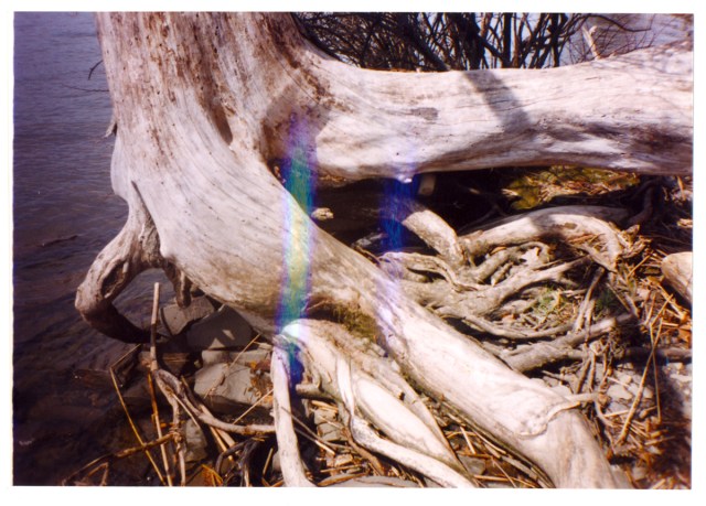 Turn So the Water Appears © Catherine Rutgers 2012