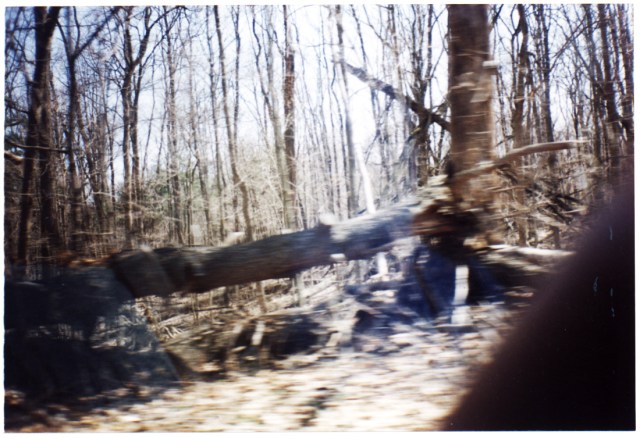 Whereabouts Unknown © Catherine Rutgers 2012