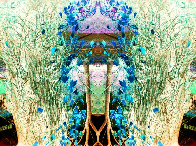 These Things Will Appear © Catherine Rutgers 2012