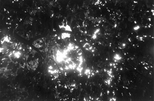 Fine on Cloud Nine © Catherine Rutgers 2012