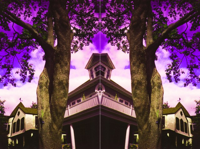 Sky Orchid Clouds © Catherine Rutgers 2012