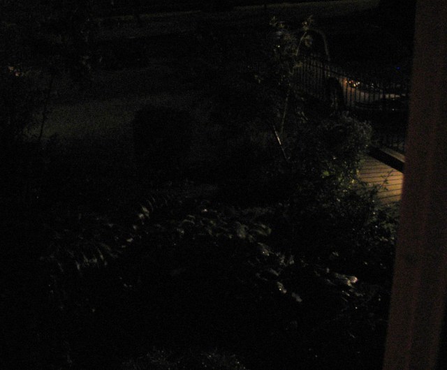 Staunch © Catherine Rutgers 2013