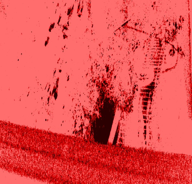 Tranche © Catherine Rutgers 2013