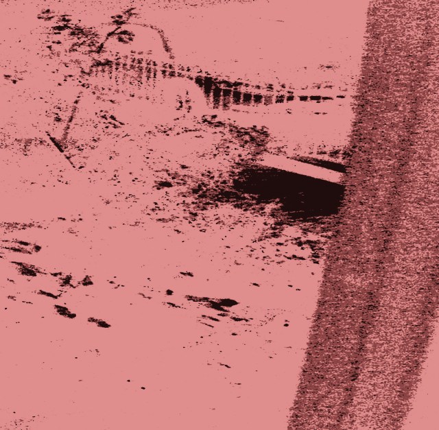 Dipsillated © Catherine Rutgers 2013