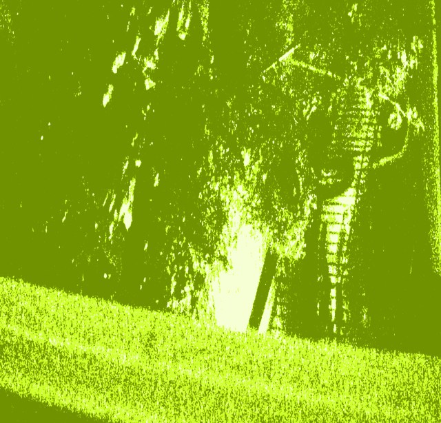 Minupsided © Catherine Rutgers 2013