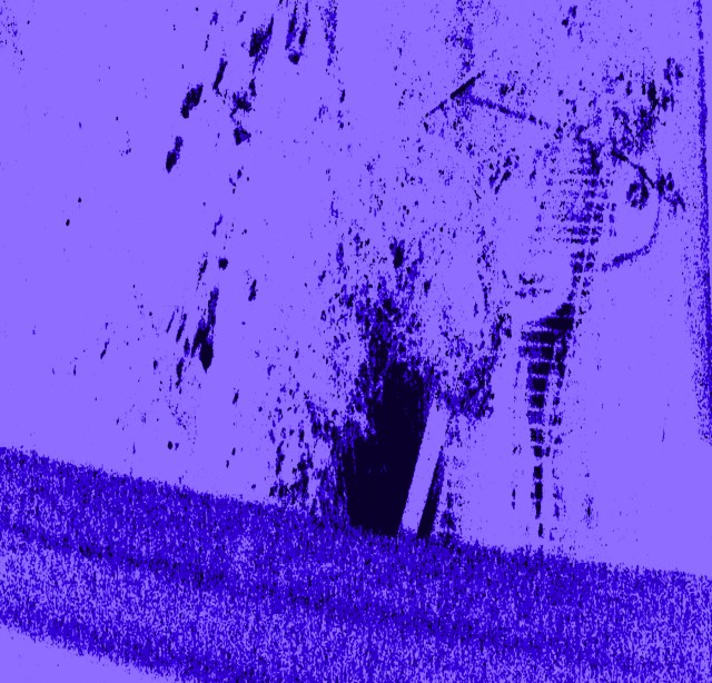 Queried © Catherine Rutgers 2013