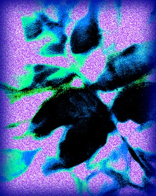 Comeback Yet to Be © Catherine Rutgers 2013