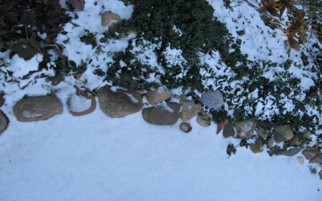 Protected © Catherine Rutgers 2013