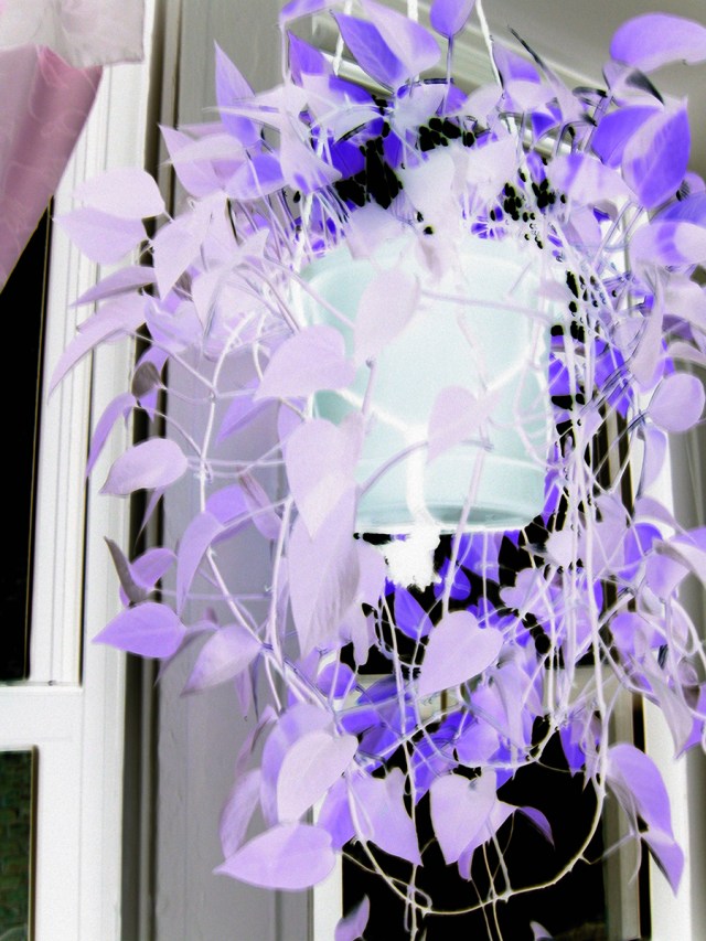 Expecting April © Catherine Rutgers 2013