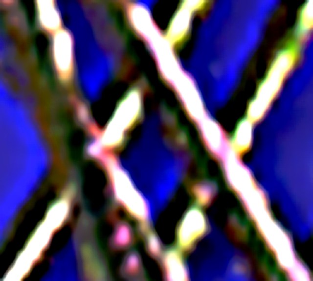 Internal Feather © Catherine Rutgers 2013