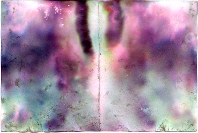 Rescued © Catherine Rutgers 2013