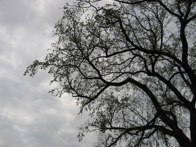 Bicubic Space © Catherine Rutgers 2013