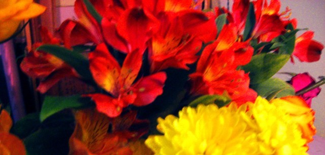 Oh One, Nine One © Catherine Rutgers 2013