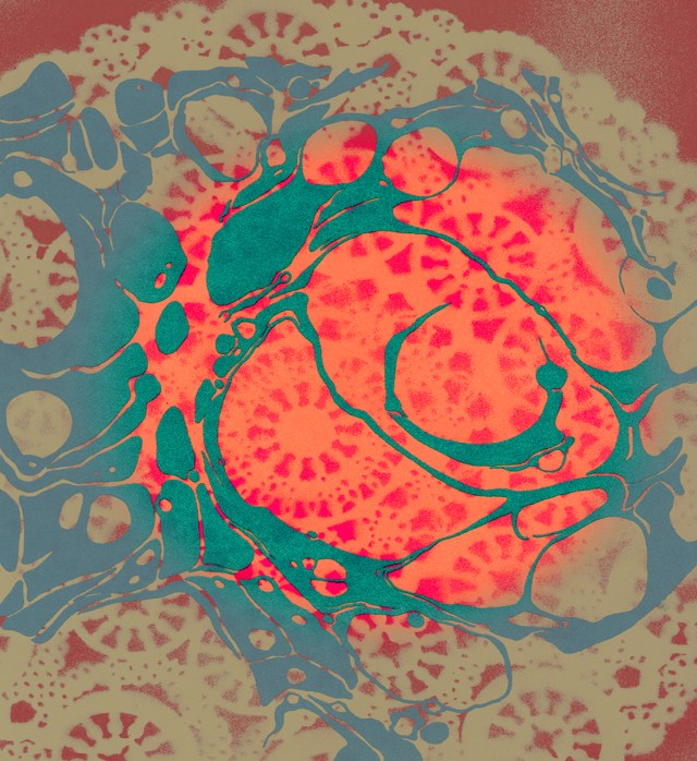 In Your Diamonds and Lace © Catherine Rutgers 2013