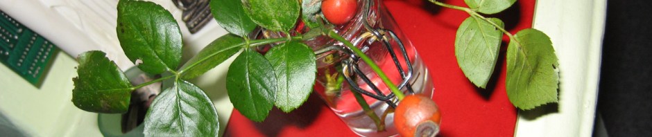 Rosehip Buddha with His Friend Athena © Catherine Rutgers 2013