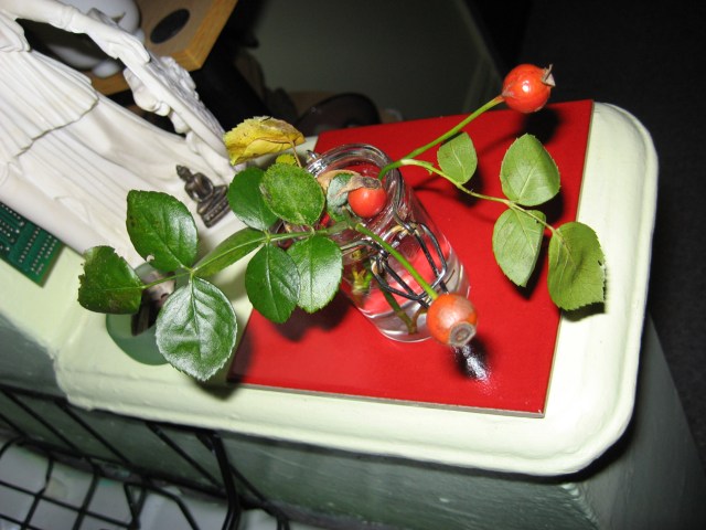 Rosehip Buddha with His Friend Athena © Catherine Rutgers 2013