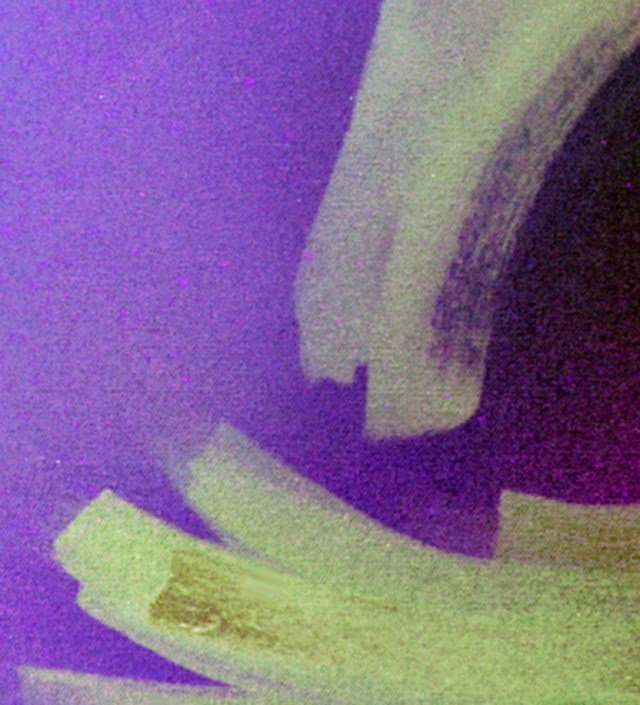 Lucky Strokes © Catherine Rutgers 2013