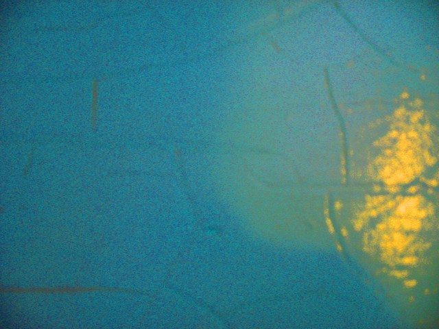 Sleep Pretty Darling © Catherine Rutgers 2013