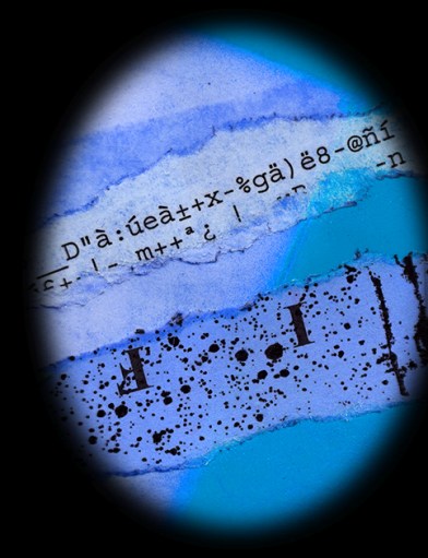 Like That © Catherine Rutgers 2013