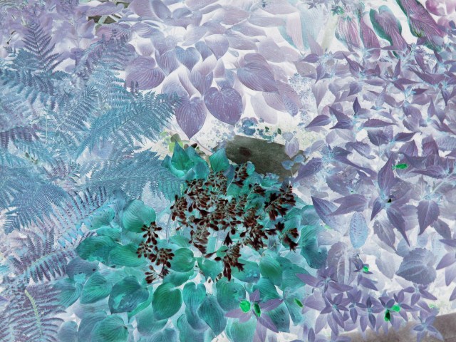 Inspired by Life (Image 2966) © Catherine Rutgers 2013