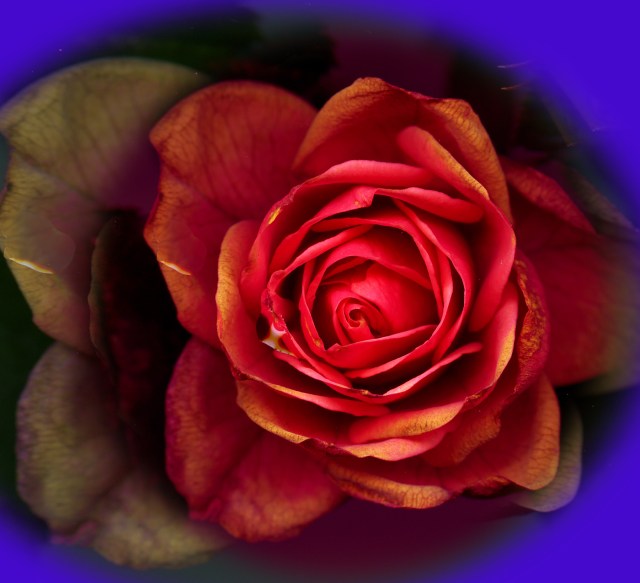 The Center and Its Shadow © Catherine Rutgers 2013