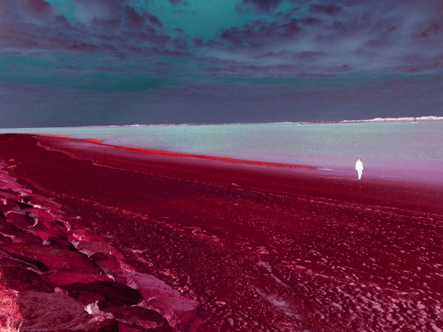 Ever More Hues to Explore © Catherine Rutgers 2014 Ever More Hues to Explore © Catherine Rutgers 2014