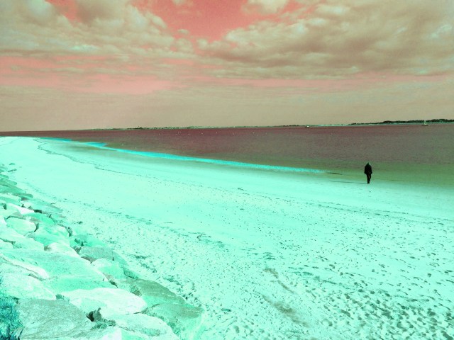 Transposing the Inversion © Catherine Rutgers 2014 Transposing the Inversion © Catherine Rutgers 2014