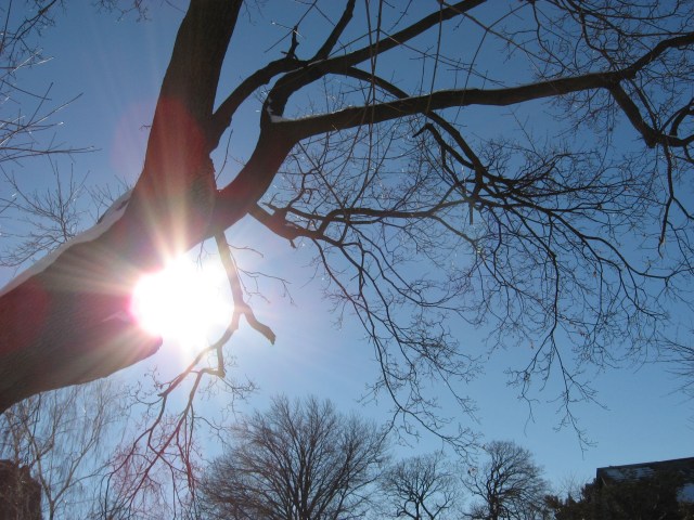 The Fire Within © Catherine Rutgers 2015