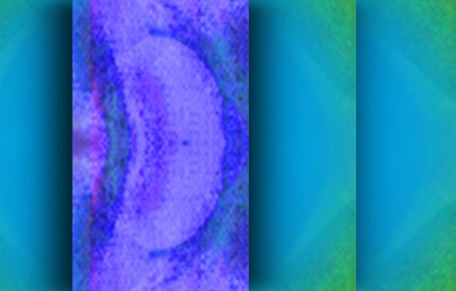 Sonar Fantasia © Catherine Rutgers 2015